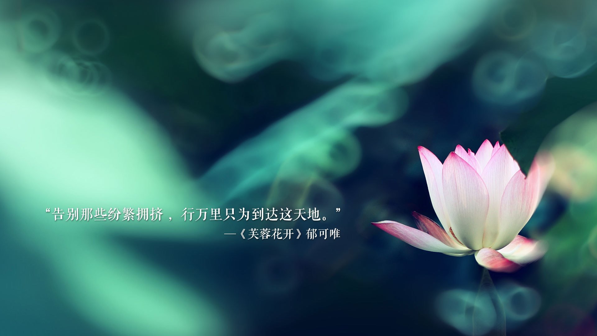 “青春燃烧”青少年篮球公益演讲在上海引发共鸣,青少年篮球大赛