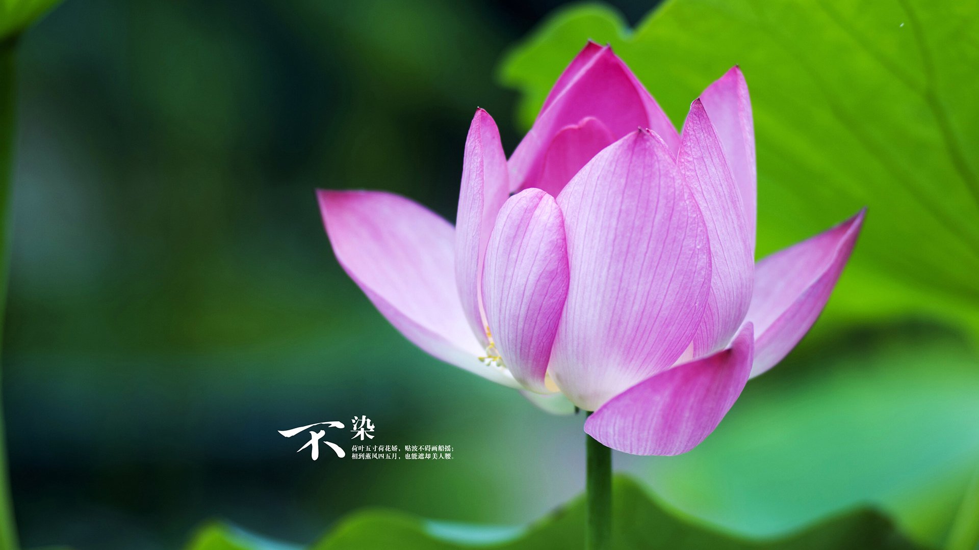 开yun官网-《全球电子竞技巡回赛：赛程安排全面揭晓》，全球电子竞技联合会