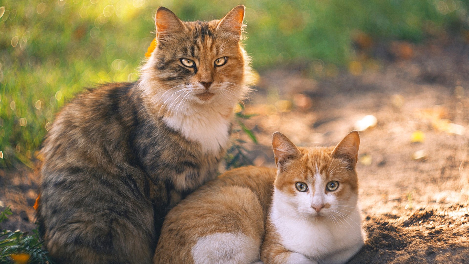 开云真人-中超俱乐部建立球员心理咨询室，中超俱乐部工作人员收入