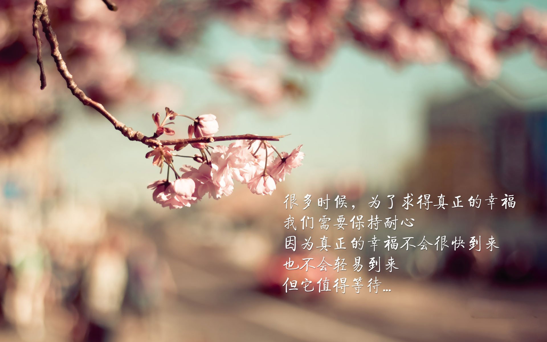 开云备用-拜仁连续15场不败领跑德甲，拜仁几连胜